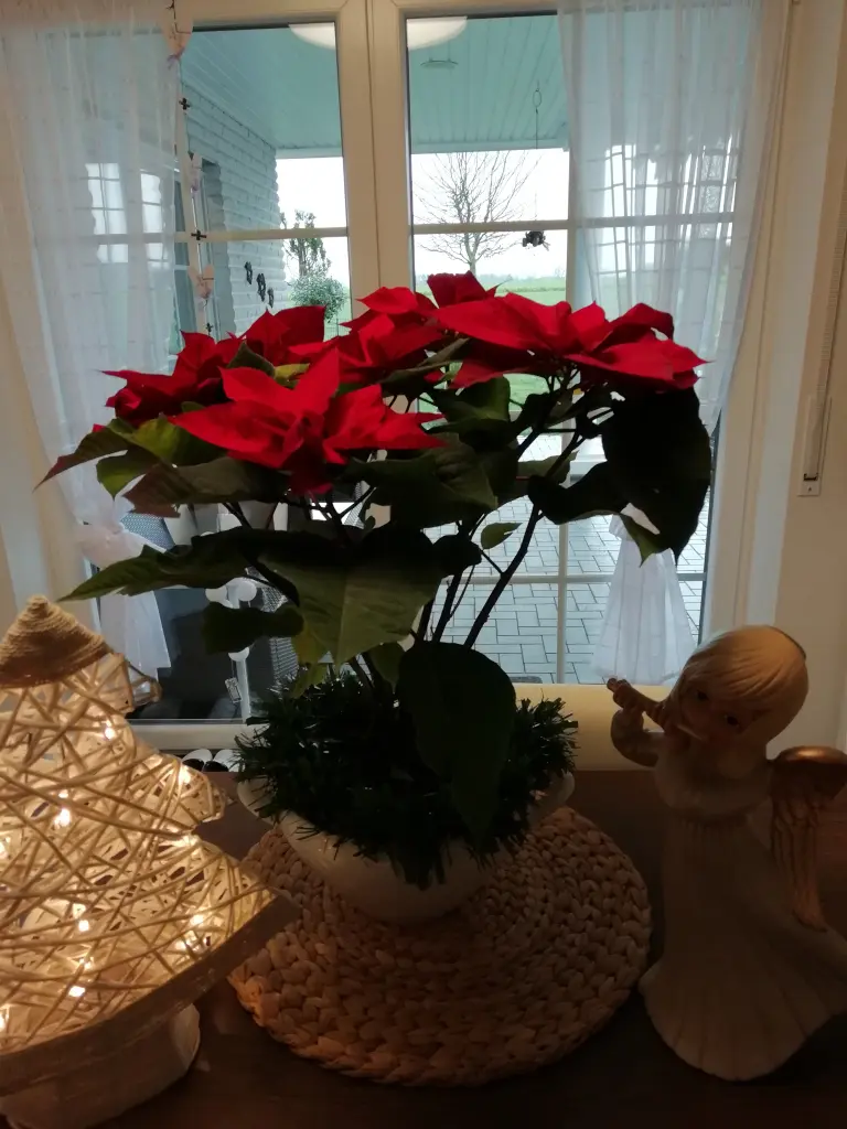 Condolence image of Von Gaby 