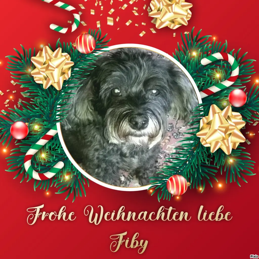 Condolence image of Tanja mit Timmy im Herzen 