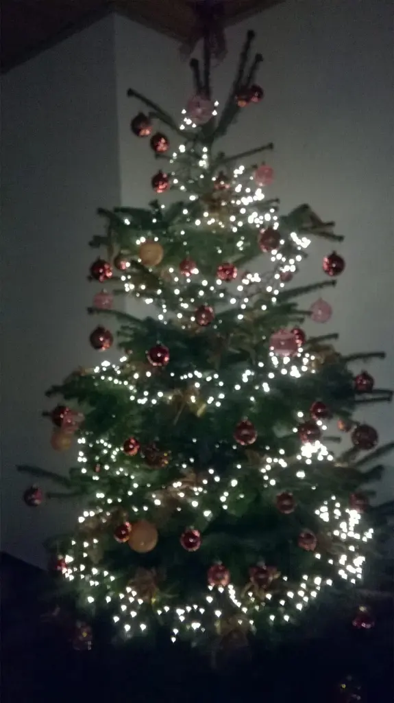 Condolence image of für Fiby von Mama