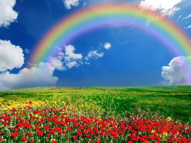 Condolence image of Gaby mit Snowy ❤️