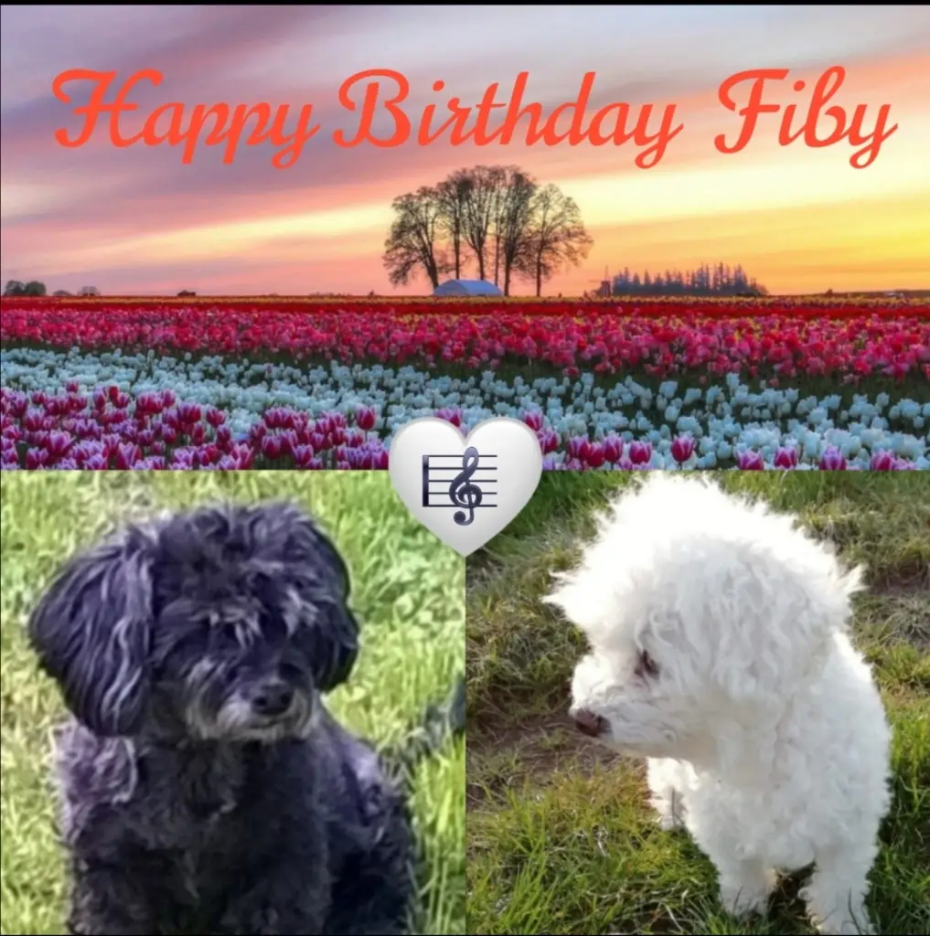 Condolence image of Von Gaby ❤️