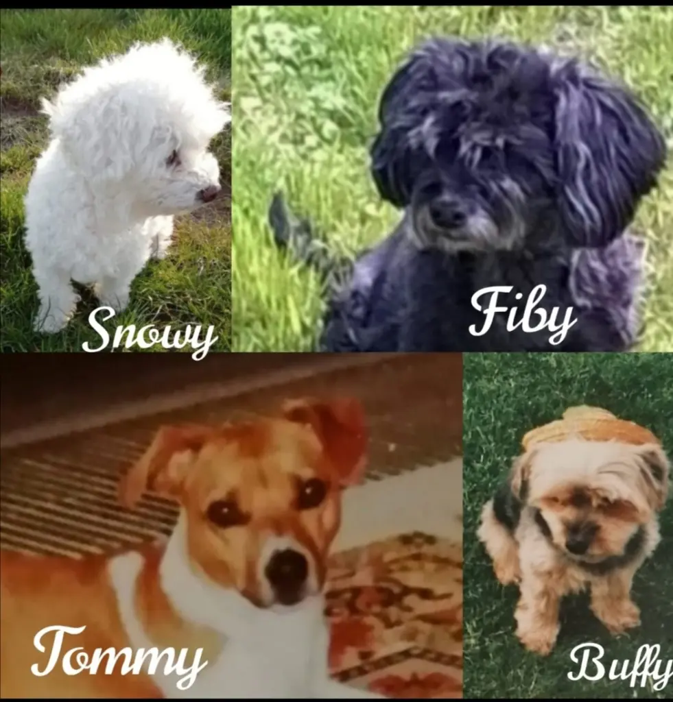 Condolence image of Von Gaby ❤️