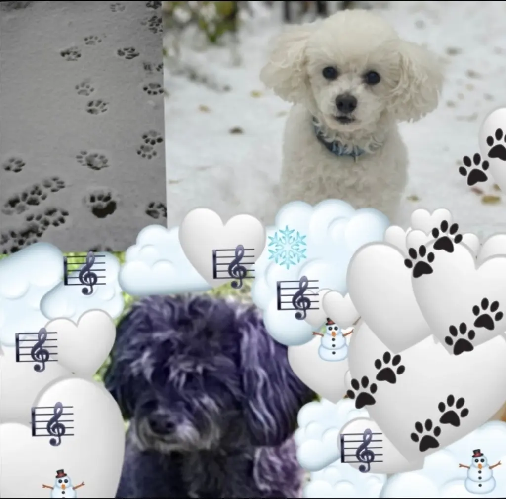 Condolence image of Von Fiby und Snowy 