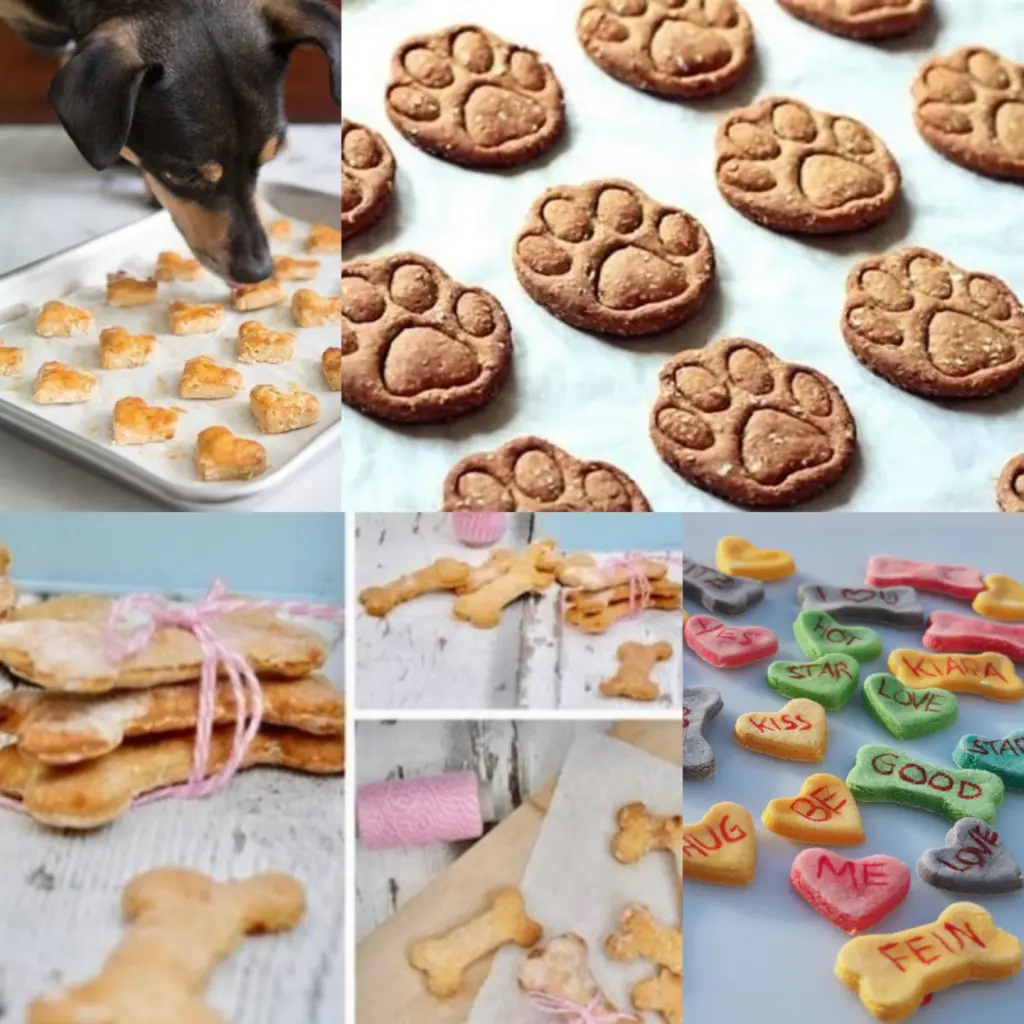 Condolence image of Von Fiby und Snowy 