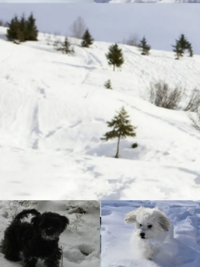 Condolence image of Von Fiby ❤️