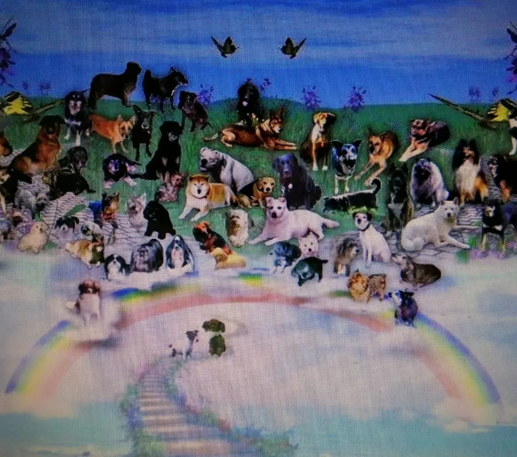 Condolence image of Für die Rasselbande