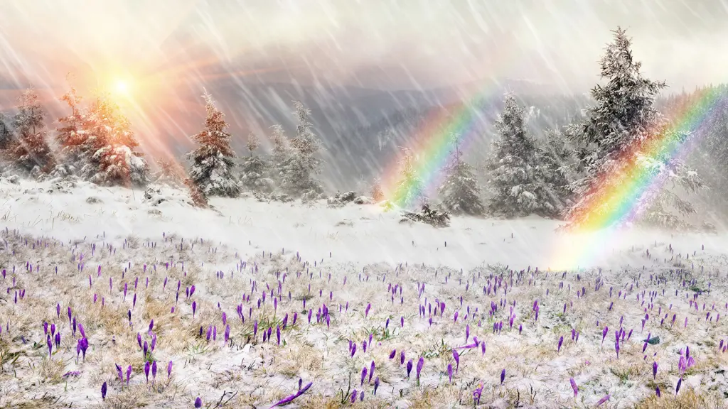 Condolence image of Ina Erberich