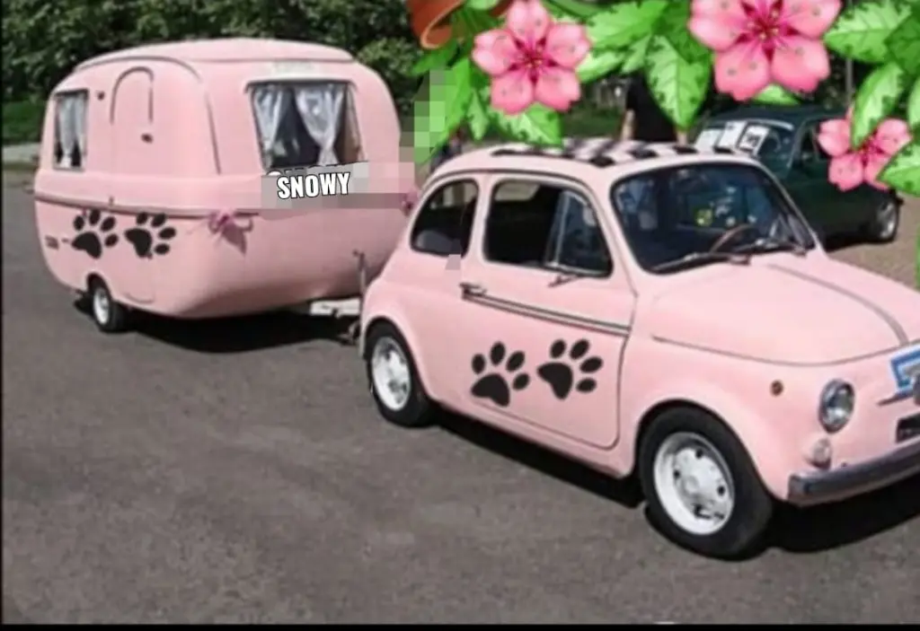 Condolence image of Für Elke v Snowy 