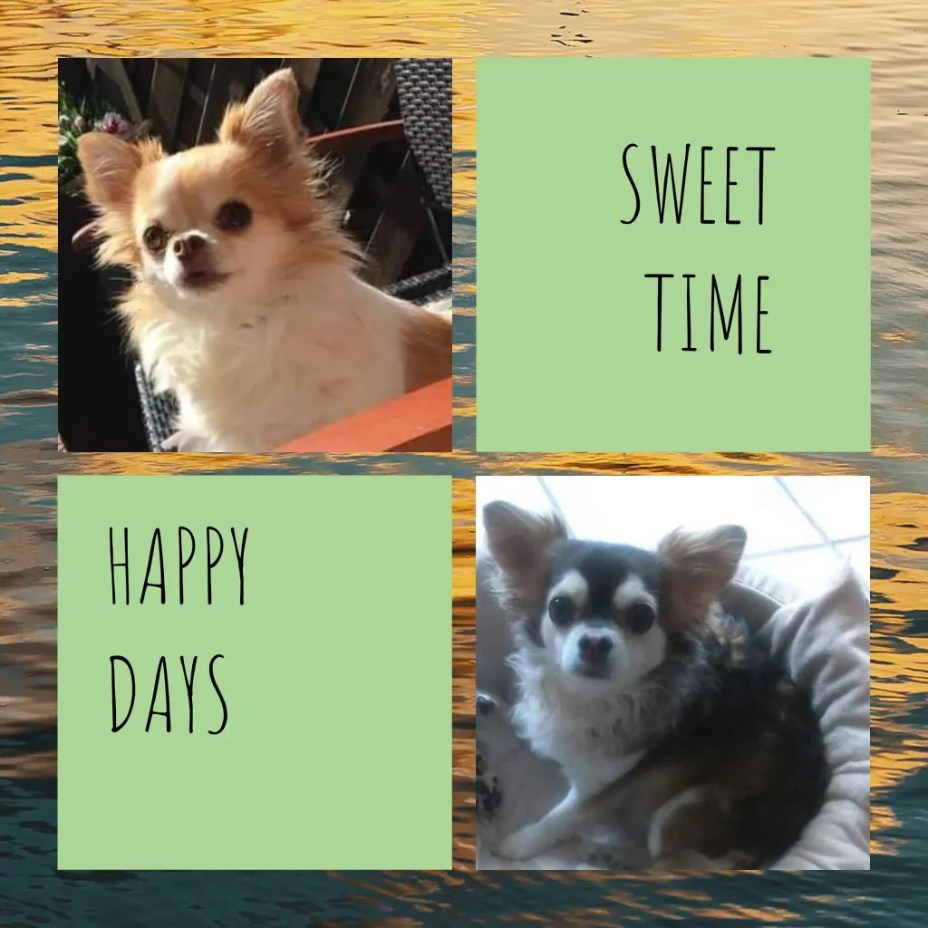 Condolence image of von Balu