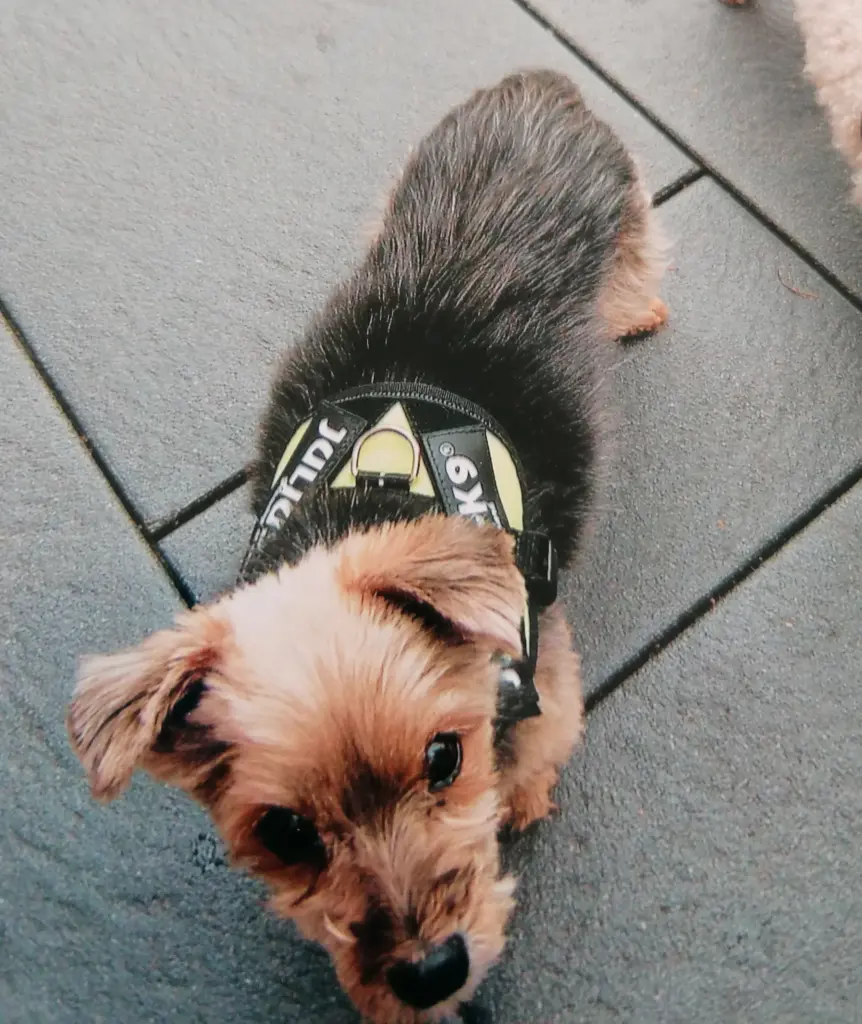 Condolence image of Von Buffy ❤️