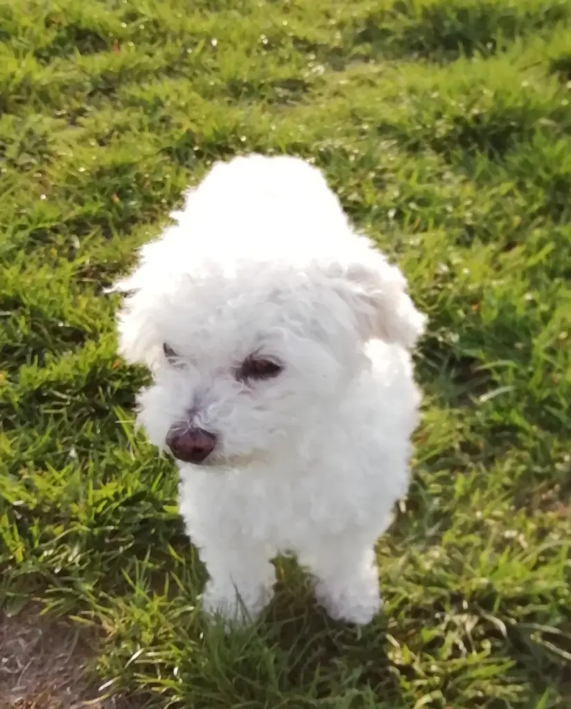 Condolence image of Für Elke ❤️