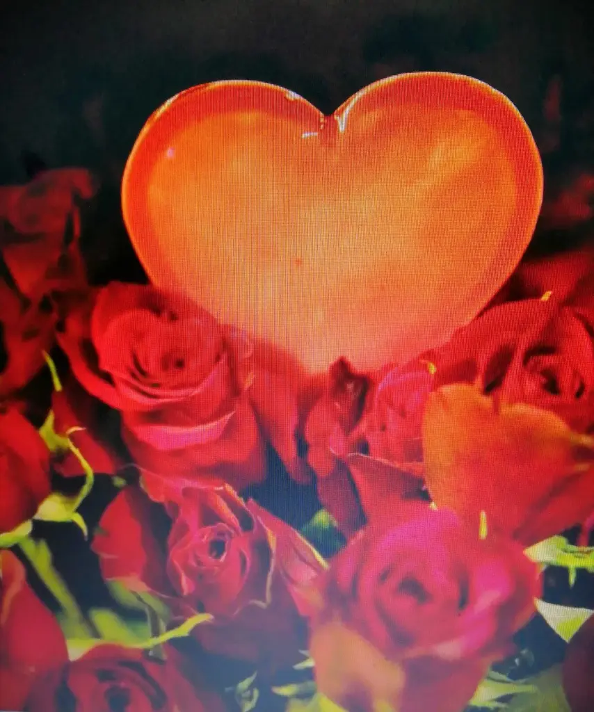 Condolence image of Für Fiby, Snowy und Co