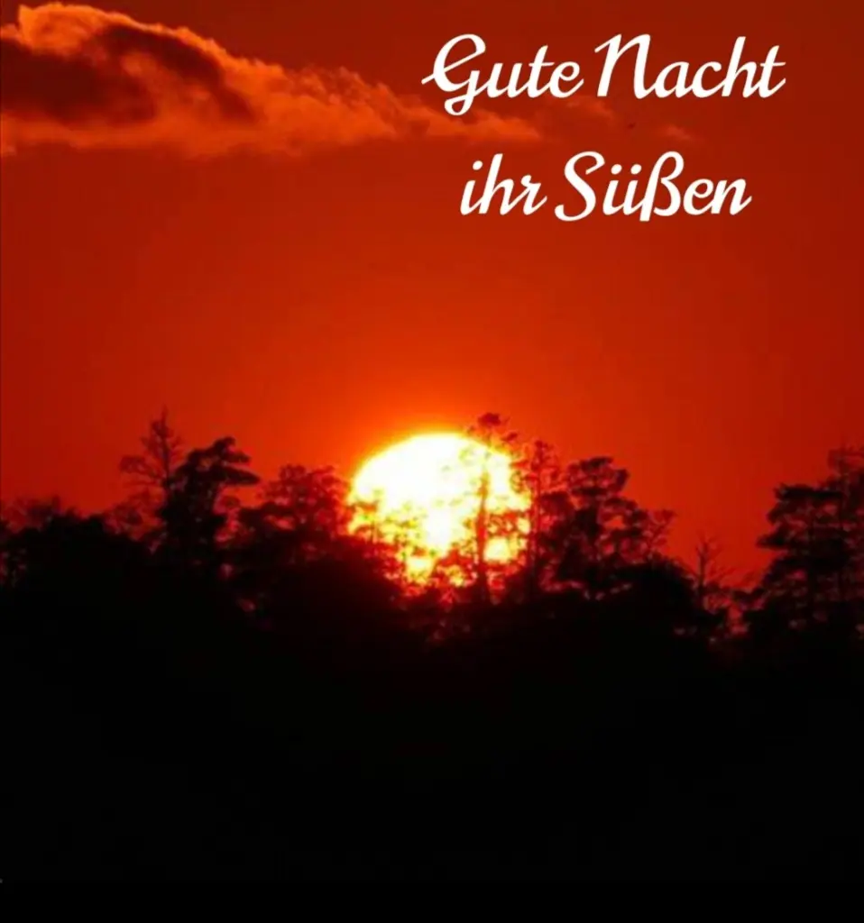 Condolence image of Für Fiby