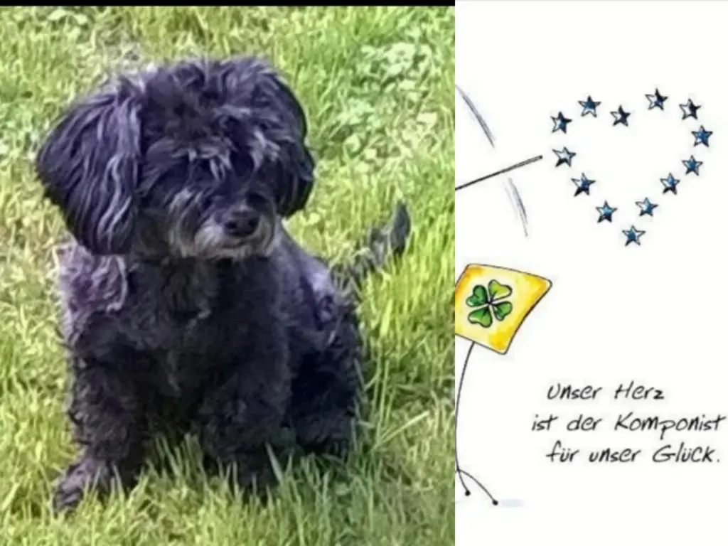 Condolence image of Fiby für Mama