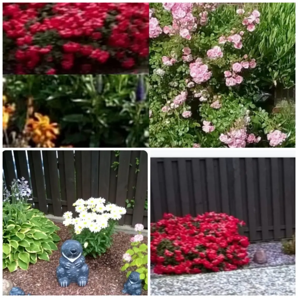 Condolence image of Von Fiby ❤️