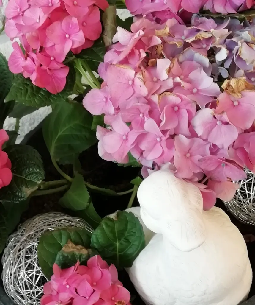 Condolence image of Für Fiby v Gaby