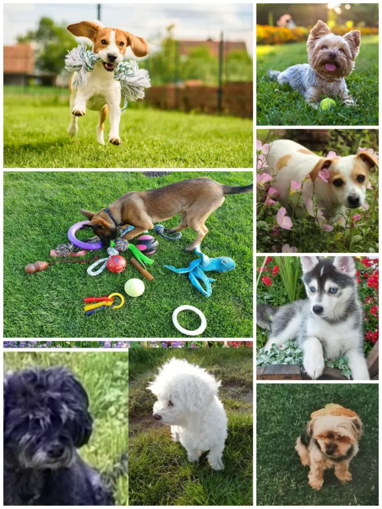 Condolence image of Fellnasen WG