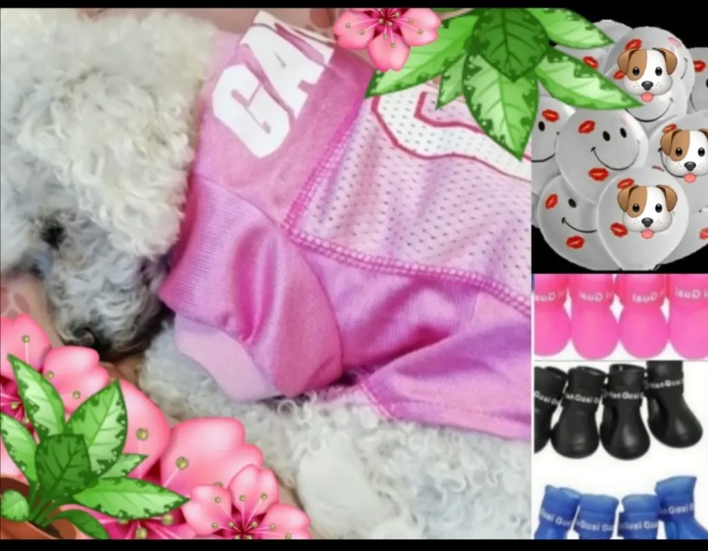 Condolence image of Snowy und WG