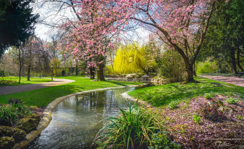 Condolence image of ❤️