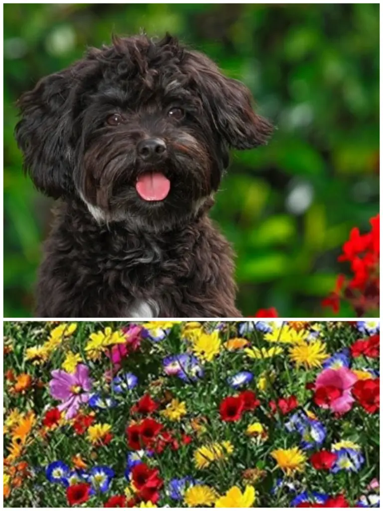 Condolence image of ????