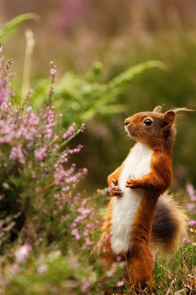 Condolence image of von Fiby für Mama