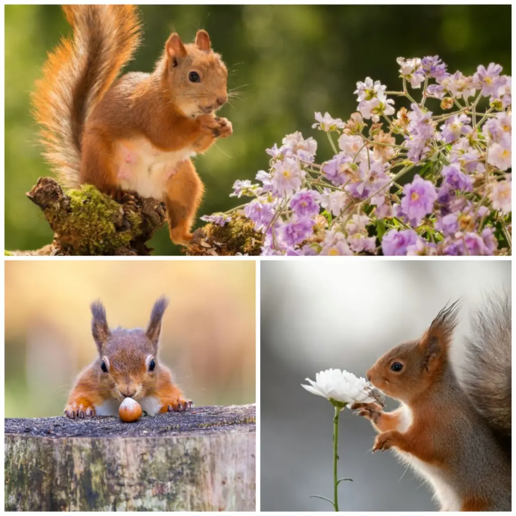 Condolence image of von Fiby und Snowy