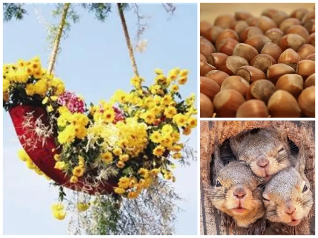 Condolence image of Von Gaby ❤️