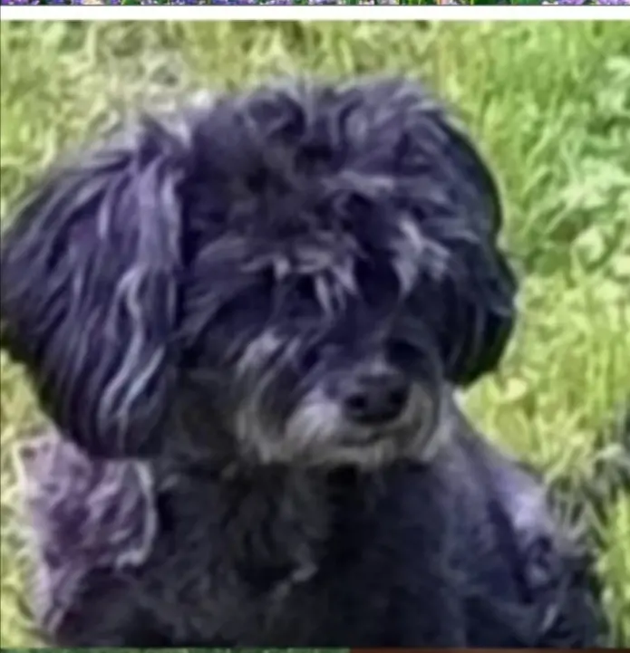 Condolence image of ❤️❤️❤️