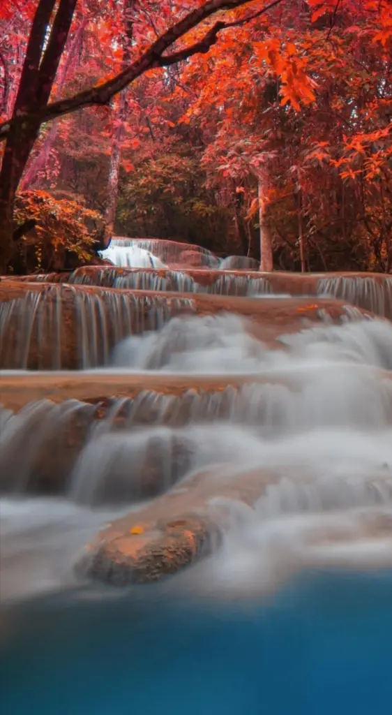 Condolence image of Von Fiby ❤️