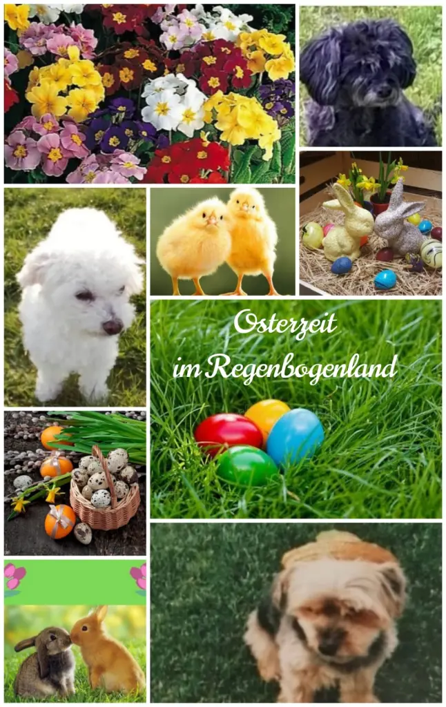 Condolence image of Fiby, Snowy und die Rasselbande