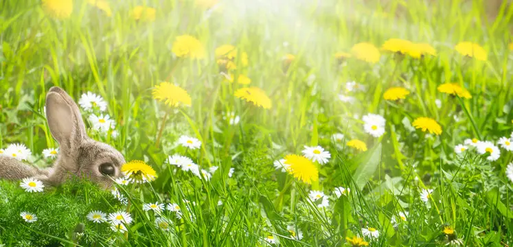 Condolence image of Ina Erberich