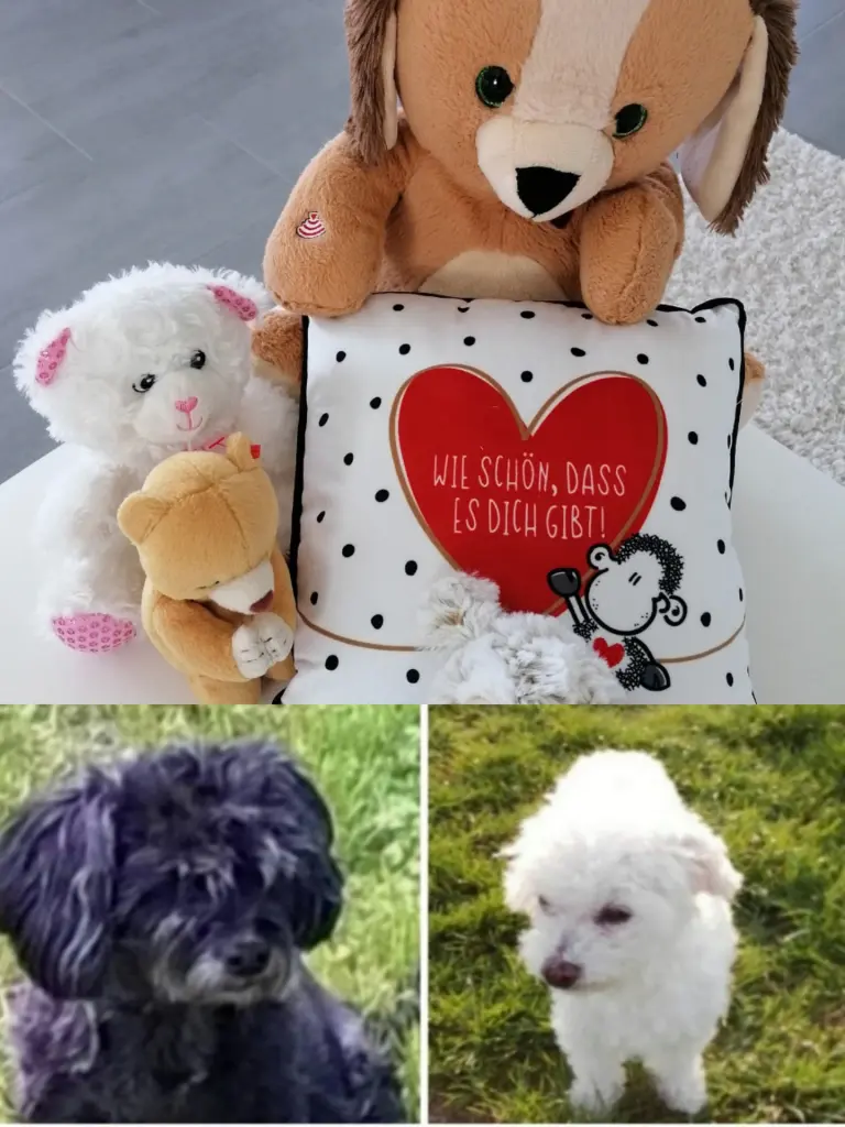 Condolence image of FREUNDSCHAFT❤️