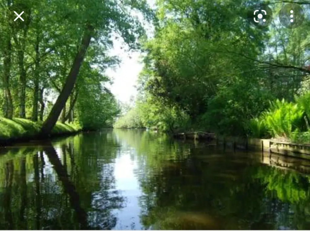 Condolence image of Ina Erberich