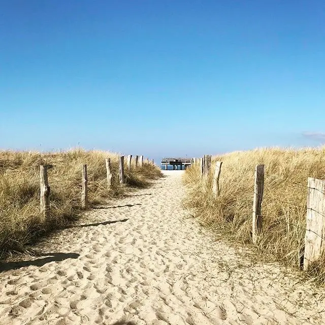 Condolence image of Für Fiby ❤️