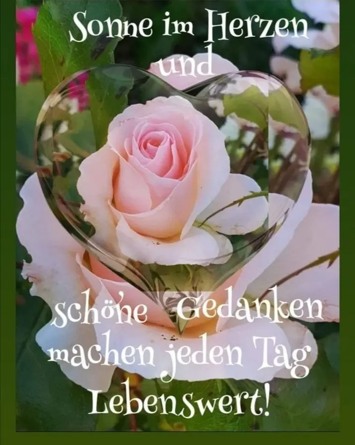 Condolence image of Für Fiby  