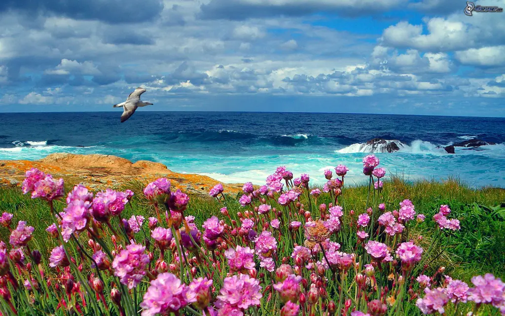 Condolence image of An Fiby