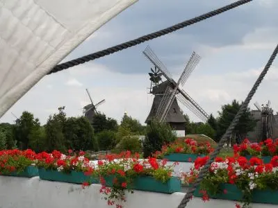 Condolence image of Post von Fiby ❤️