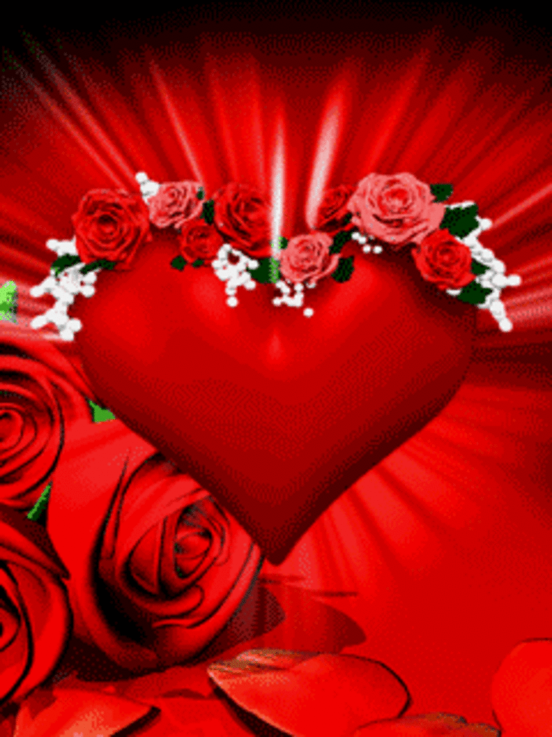 Condolence image of für Fiby und die Rasselbande ❤️