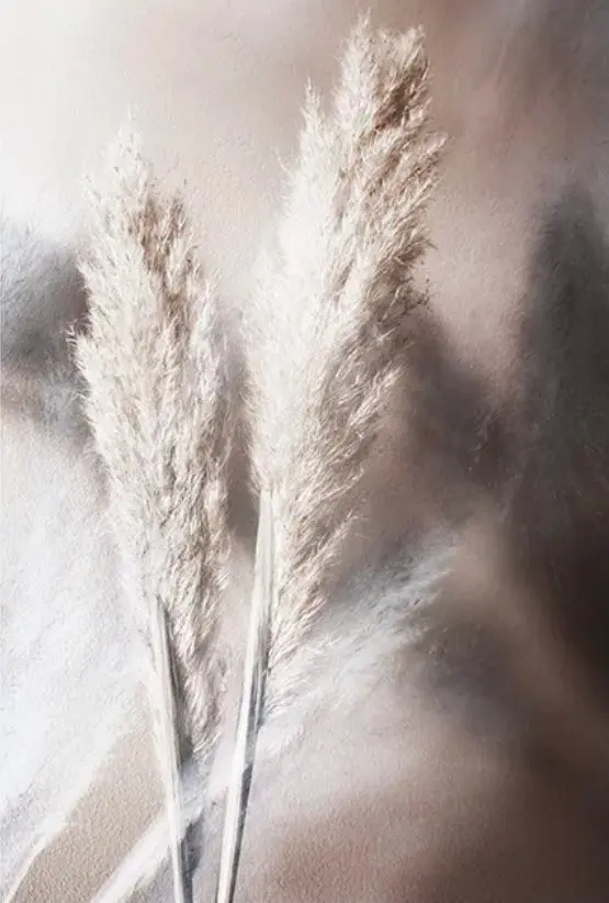 Condolence image of Für Fiby und der ganzen Clique 