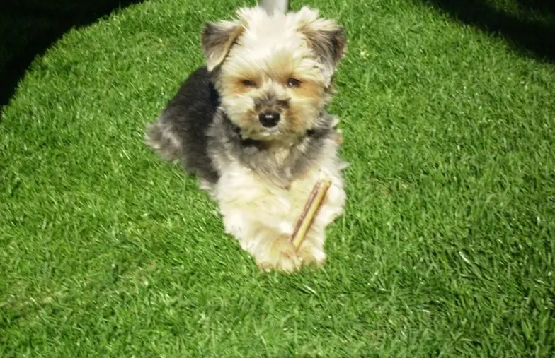 Condolence image of Von Buffy ❤️