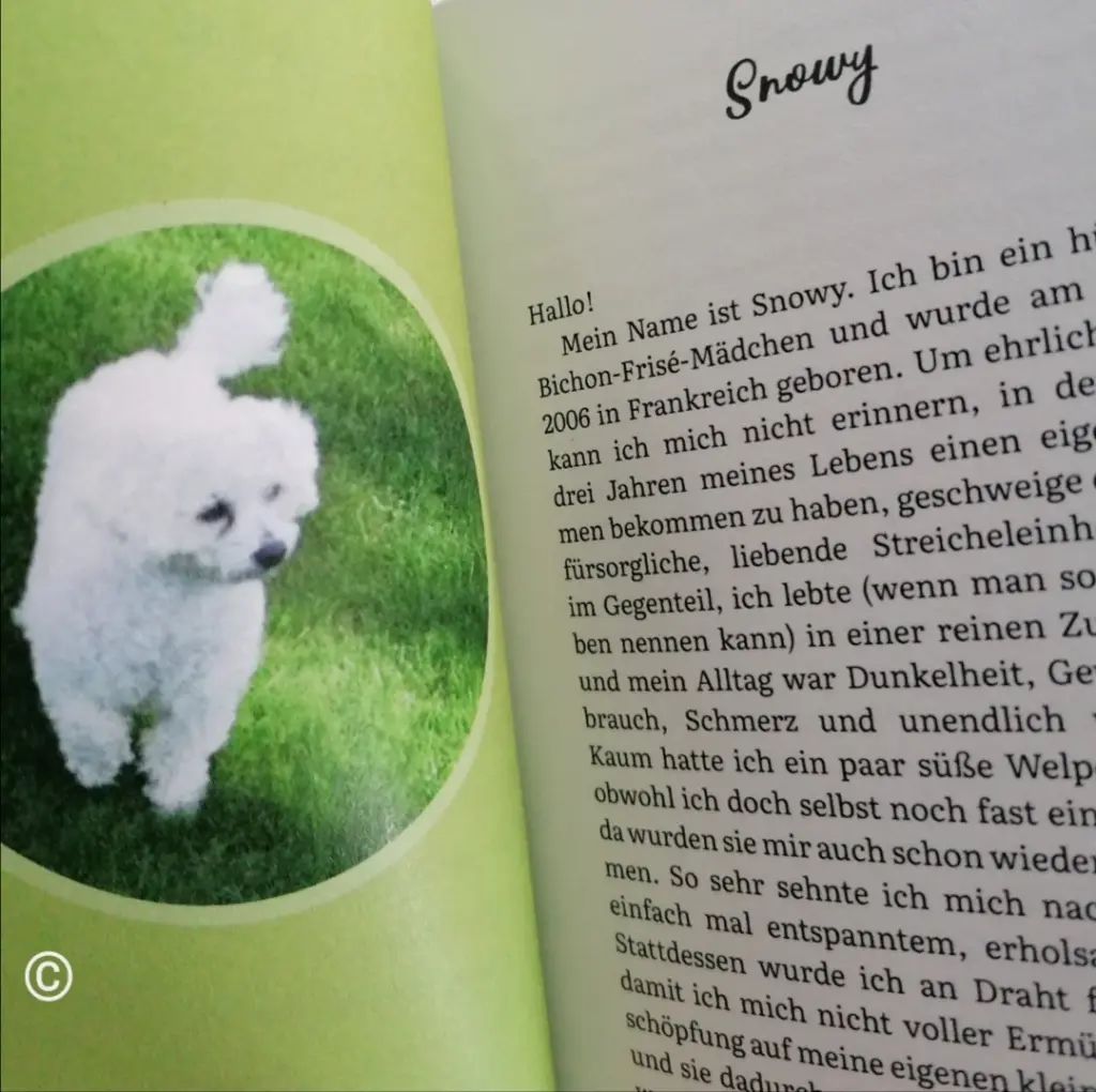 Condolence image of Von Gaby für Elke 