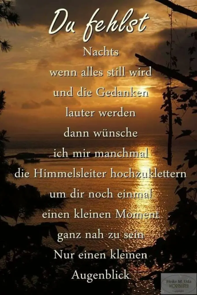 Condolence image of Mami und Papi ❤️❤️