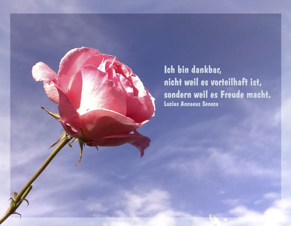 Condolence image of Für Fiby