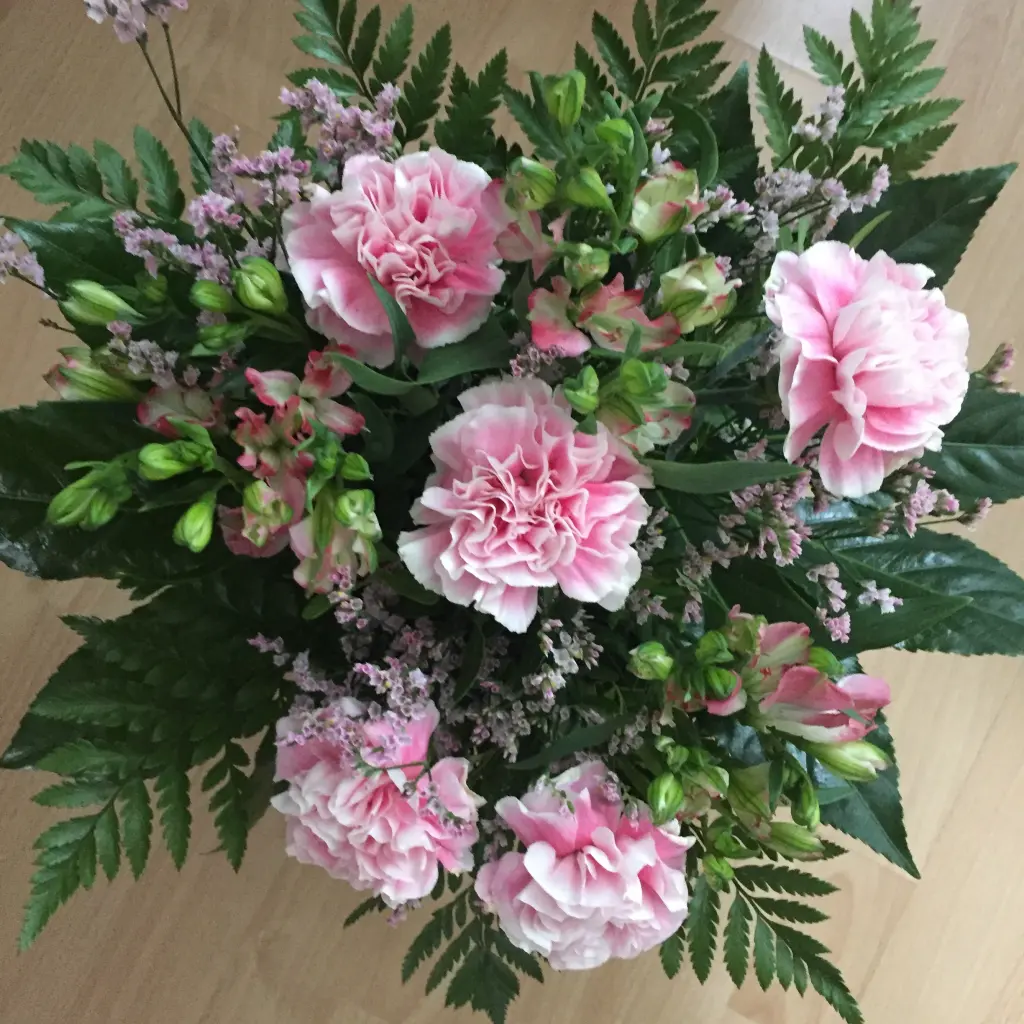 Condolence image of Für Fiby, Elke und Horst 