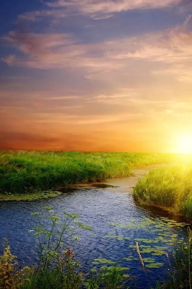 Condolence image of Von Snowy ❤️