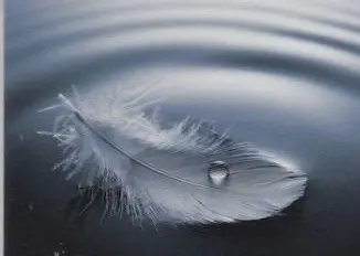 Condolence image of Gaby für Elke 