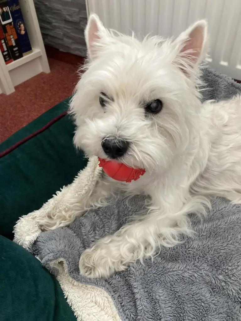 Condolence image of Sigrid 