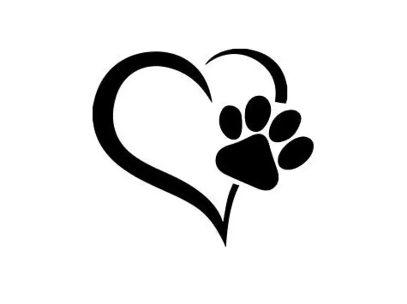 Condolence image of Fiby ❤️