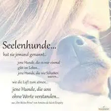 Condolence image of Annemarie und Elke mit Snoopy im Herzen gest.04.01.2022