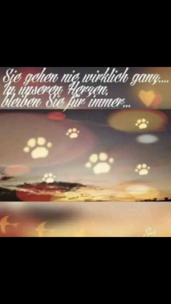 Condolence image of Sigrid 